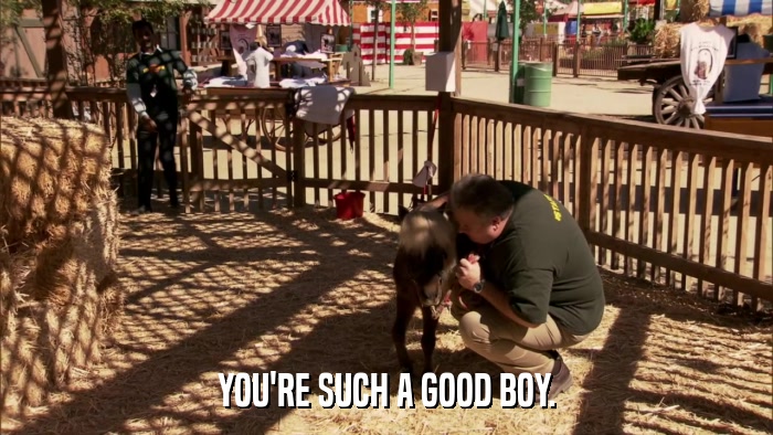 YOU'RE SUCH A GOOD BOY.  