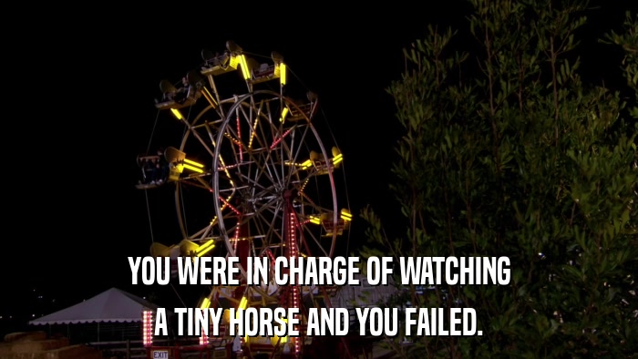 YOU WERE IN CHARGE OF WATCHING A TINY HORSE AND YOU FAILED. 