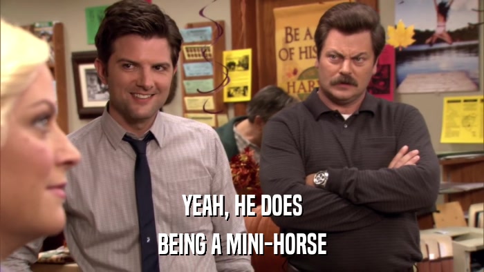 YEAH, HE DOES BEING A MINI-HORSE 