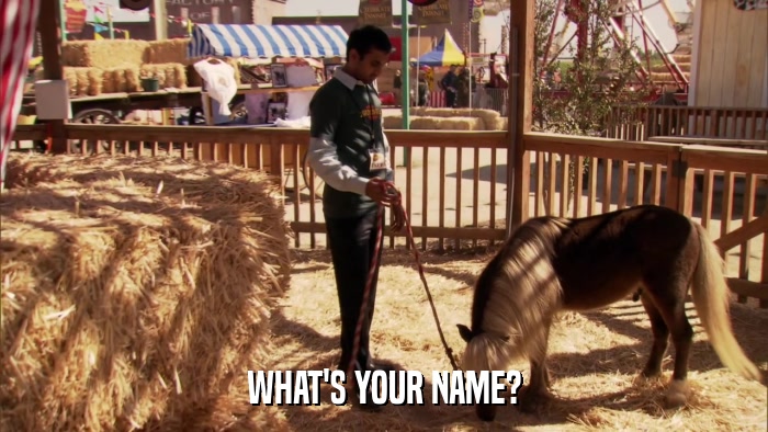 WHAT'S YOUR NAME?  