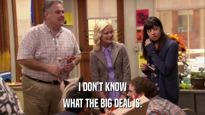 I DON'T KNOW WHAT THE BIG DEAL IS. 