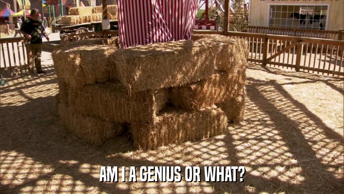 AM I A GENIUS OR WHAT?  