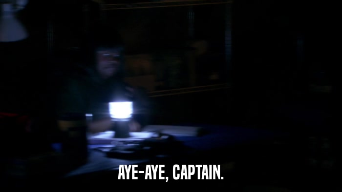 AYE-AYE, CAPTAIN.  