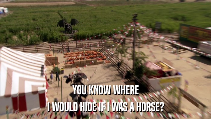 YOU KNOW WHERE I WOULD HIDE IF I WAS A HORSE? 