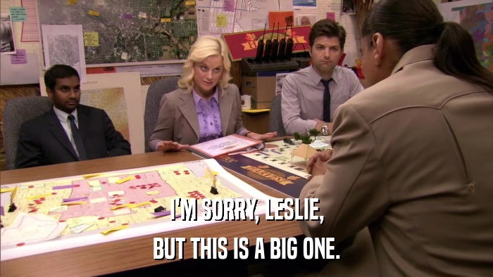 I'M SORRY, LESLIE, BUT THIS IS A BIG ONE. 