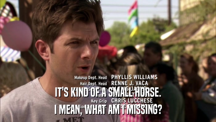 IT'S KIND OF A SMALL HORSE. I MEAN, WHAT AM I MISSING? 
