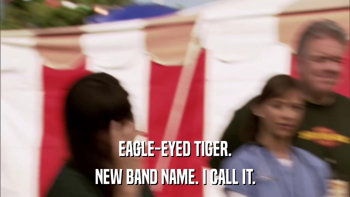 EAGLE-EYED TIGER. NEW BAND NAME. I CALL IT. 