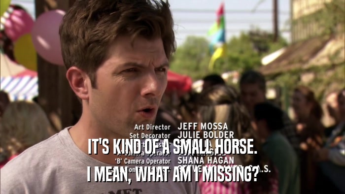 IT'S KIND OF A SMALL HORSE. I MEAN, WHAT AM I MISSING? 