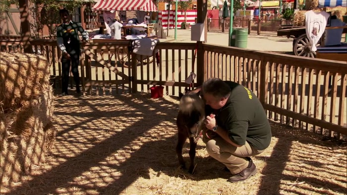 JERRY, STOP BOTHERING LITTLE SEBASTIAN. 
