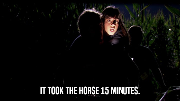 IT TOOK THE HORSE 15 MINUTES.  