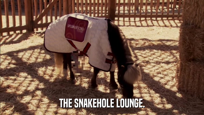 THE SNAKEHOLE LOUNGE.  