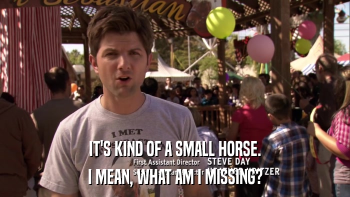 IT'S KIND OF A SMALL HORSE. I MEAN, WHAT AM I MISSING? 