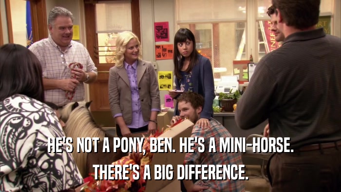 HE'S NOT A PONY, BEN. HE'S A MINI-HORSE. THERE'S A BIG DIFFERENCE. 