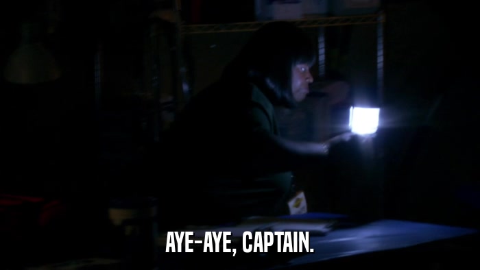 AYE-AYE, CAPTAIN.  