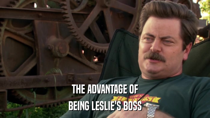 THE ADVANTAGE OF BEING LESLIE'S BOSS 