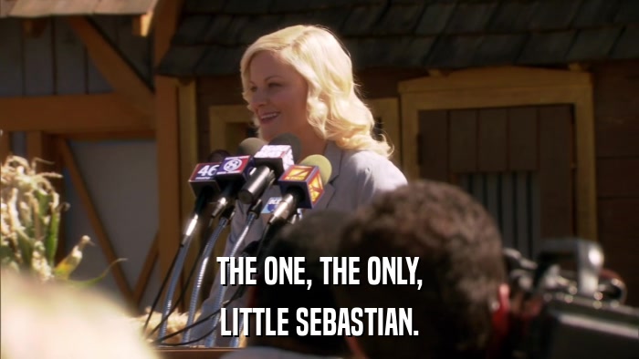 THE ONE, THE ONLY, LITTLE SEBASTIAN. 