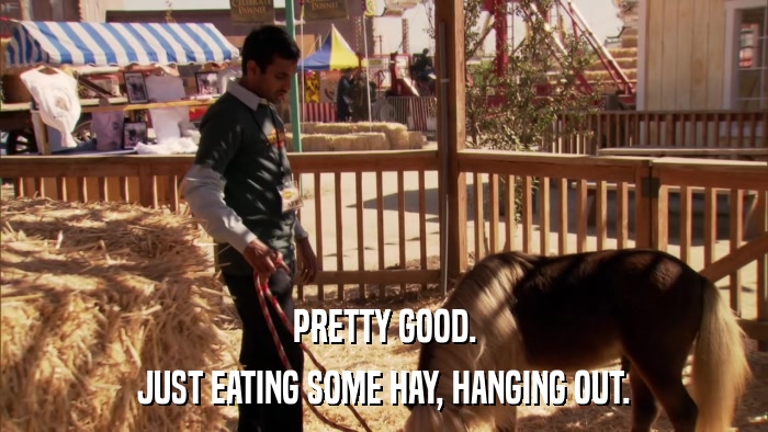 PRETTY GOOD. JUST EATING SOME HAY, HANGING OUT. 