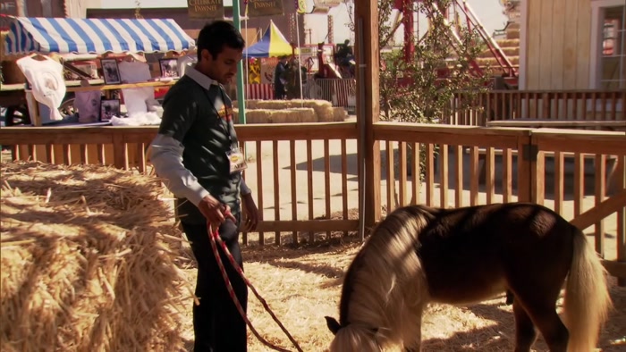 PRETTY GOOD. JUST EATING SOME HAY, HANGING OUT. 