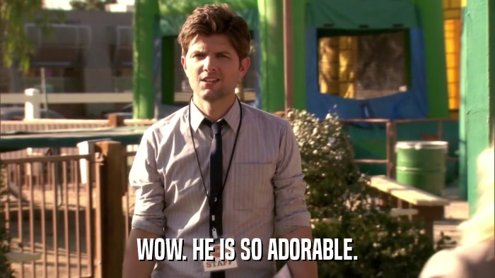 WOW. HE IS SO ADORABLE.  