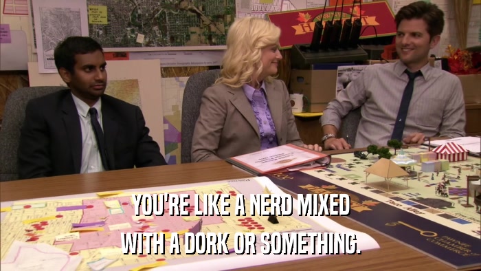 YOU'RE LIKE A NERD MIXED WITH A DORK OR SOMETHING. 