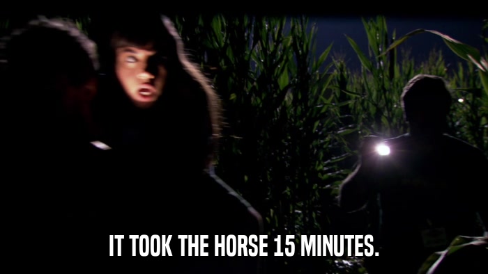 IT TOOK THE HORSE 15 MINUTES.  