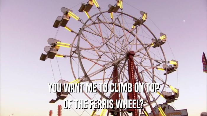 YOU WANT ME TO CLIMB ON TOP OF THE FERRIS WHEEL? 