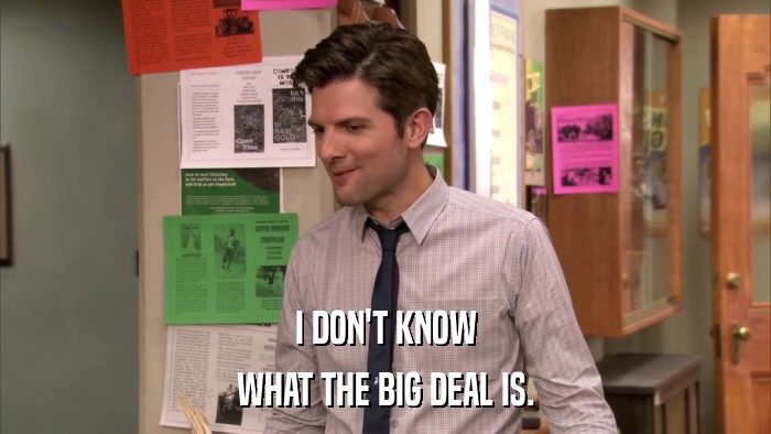 I DON'T KNOW WHAT THE BIG DEAL IS. 