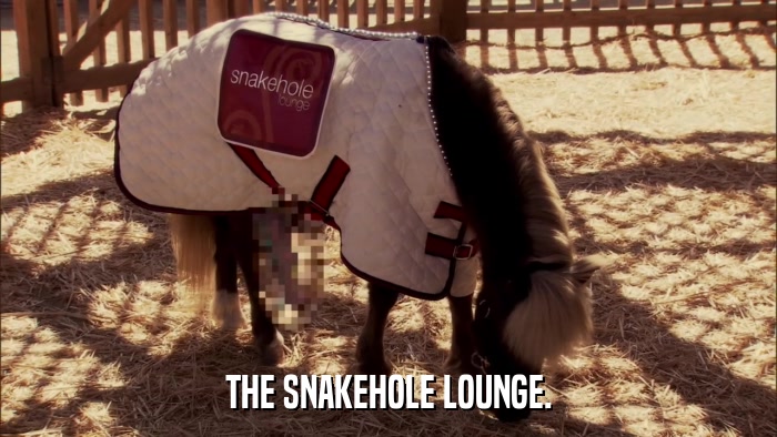 THE SNAKEHOLE LOUNGE.  