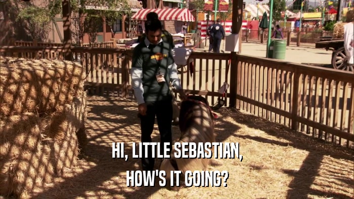 HI, LITTLE SEBASTIAN, HOW'S IT GOING? 