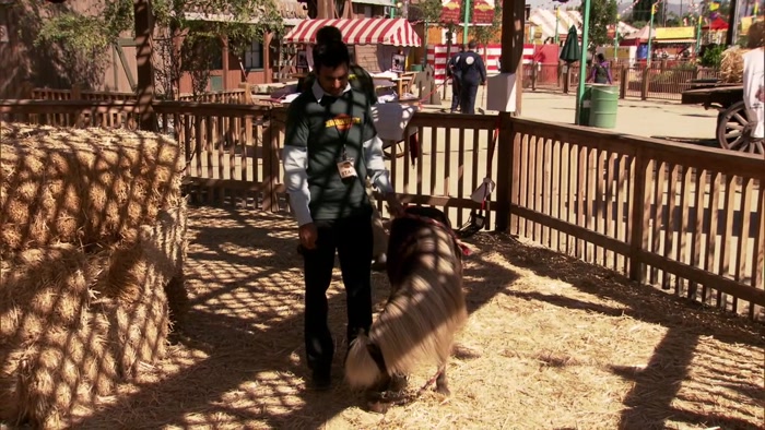 HI, LITTLE SEBASTIAN, HOW'S IT GOING? 
