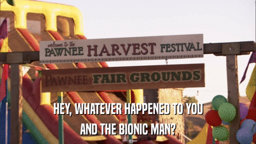 HEY, WHATEVER HAPPENED TO YOU AND THE BIONIC MAN? 