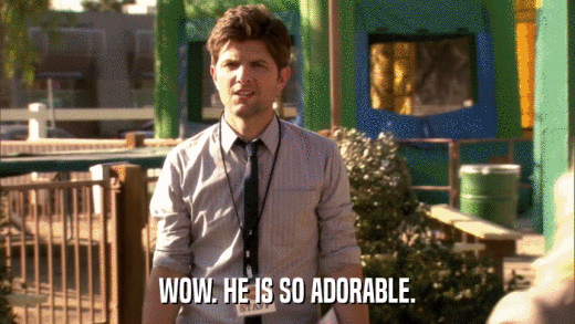 WOW. HE IS SO ADORABLE.  