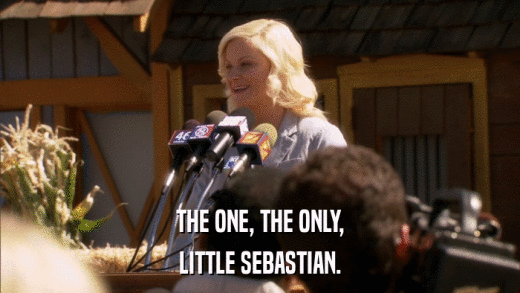 THE ONE, THE ONLY, LITTLE SEBASTIAN. 