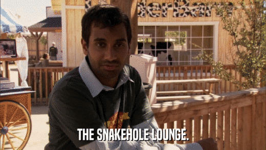 THE SNAKEHOLE LOUNGE.  