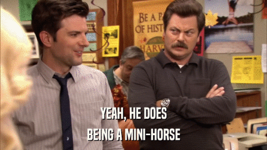 YEAH, HE DOES BEING A MINI-HORSE 