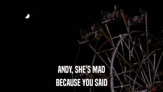 ANDY, SHE'S MAD BECAUSE YOU SAID 