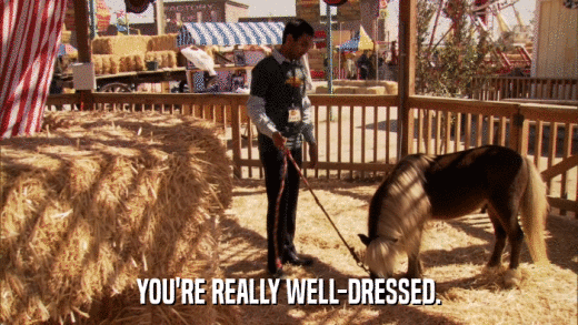 YOU'RE REALLY WELL-DRESSED.  