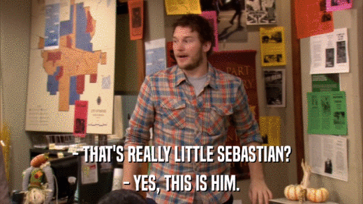 - THAT'S REALLY LITTLE SEBASTIAN? - YES, THIS IS HIM. 
