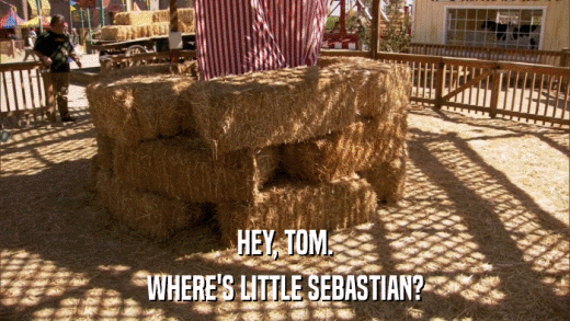 HEY, TOM. WHERE'S LITTLE SEBASTIAN? 