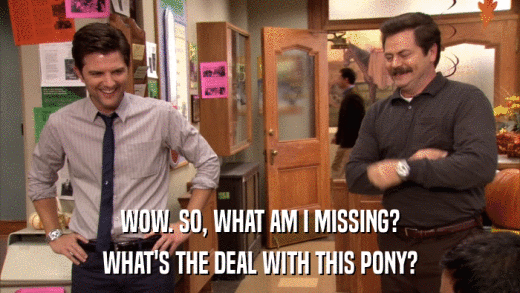 WOW. SO, WHAT AM I MISSING? WHAT'S THE DEAL WITH THIS PONY? 