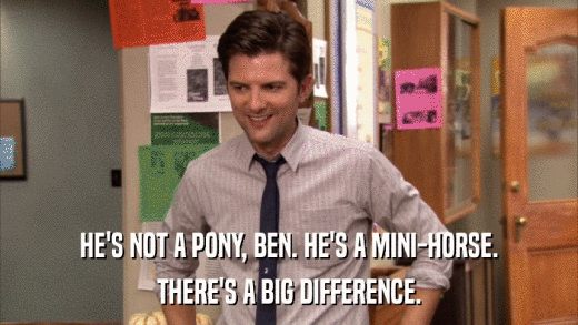 HE'S NOT A PONY, BEN. HE'S A MINI-HORSE. THERE'S A BIG DIFFERENCE. 