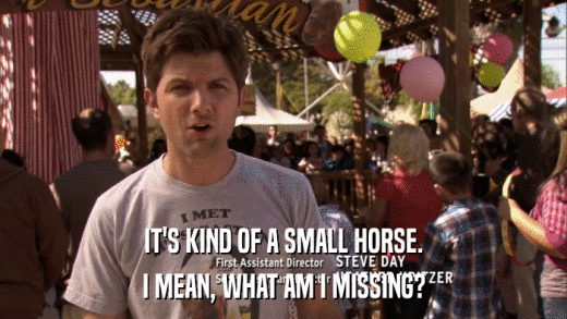 IT'S KIND OF A SMALL HORSE. I MEAN, WHAT AM I MISSING? 