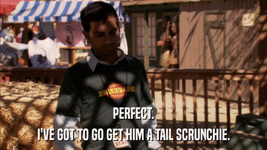 PERFECT. I'VE GOT TO GO GET HIM A TAIL SCRUNCHIE. 