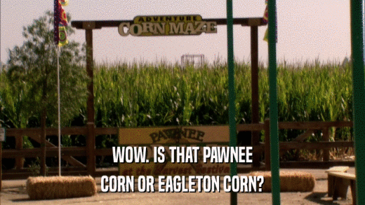 WOW. IS THAT PAWNEE CORN OR EAGLETON CORN? 