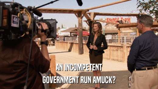 AN INCOMPETENT GOVERNMENT RUN AMUCK? 