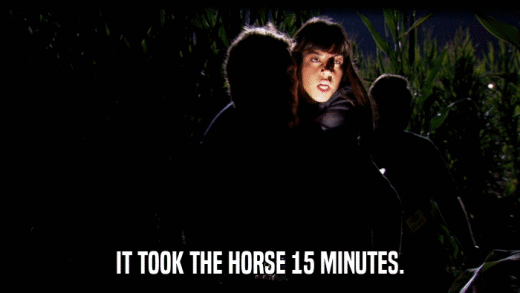 IT TOOK THE HORSE 15 MINUTES.  