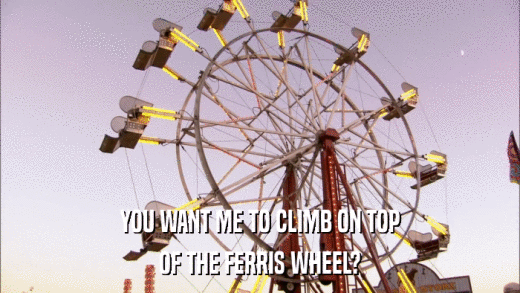 YOU WANT ME TO CLIMB ON TOP OF THE FERRIS WHEEL? 