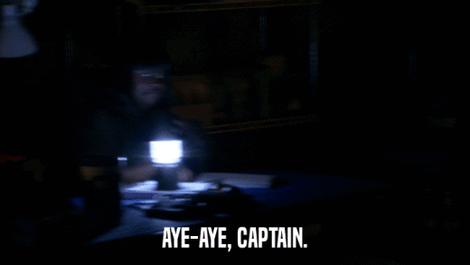 AYE-AYE, CAPTAIN.  