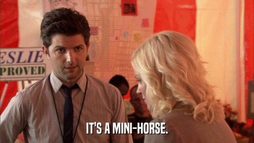 IT'S A MINI-HORSE.  