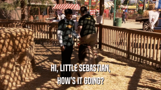 HI, LITTLE SEBASTIAN, HOW'S IT GOING? 